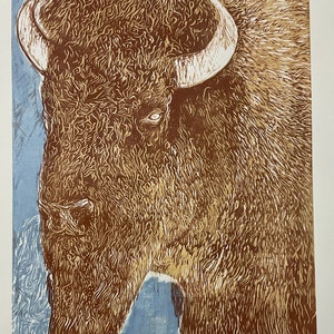 Yellowstone-buffel