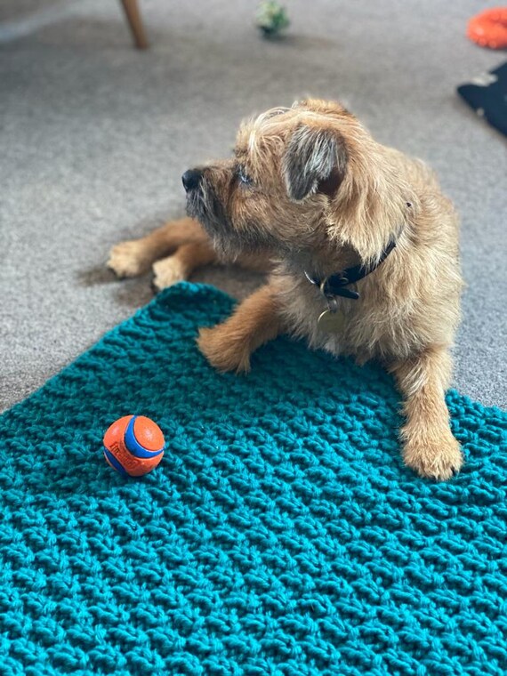 Knitted hotsell dog blanket