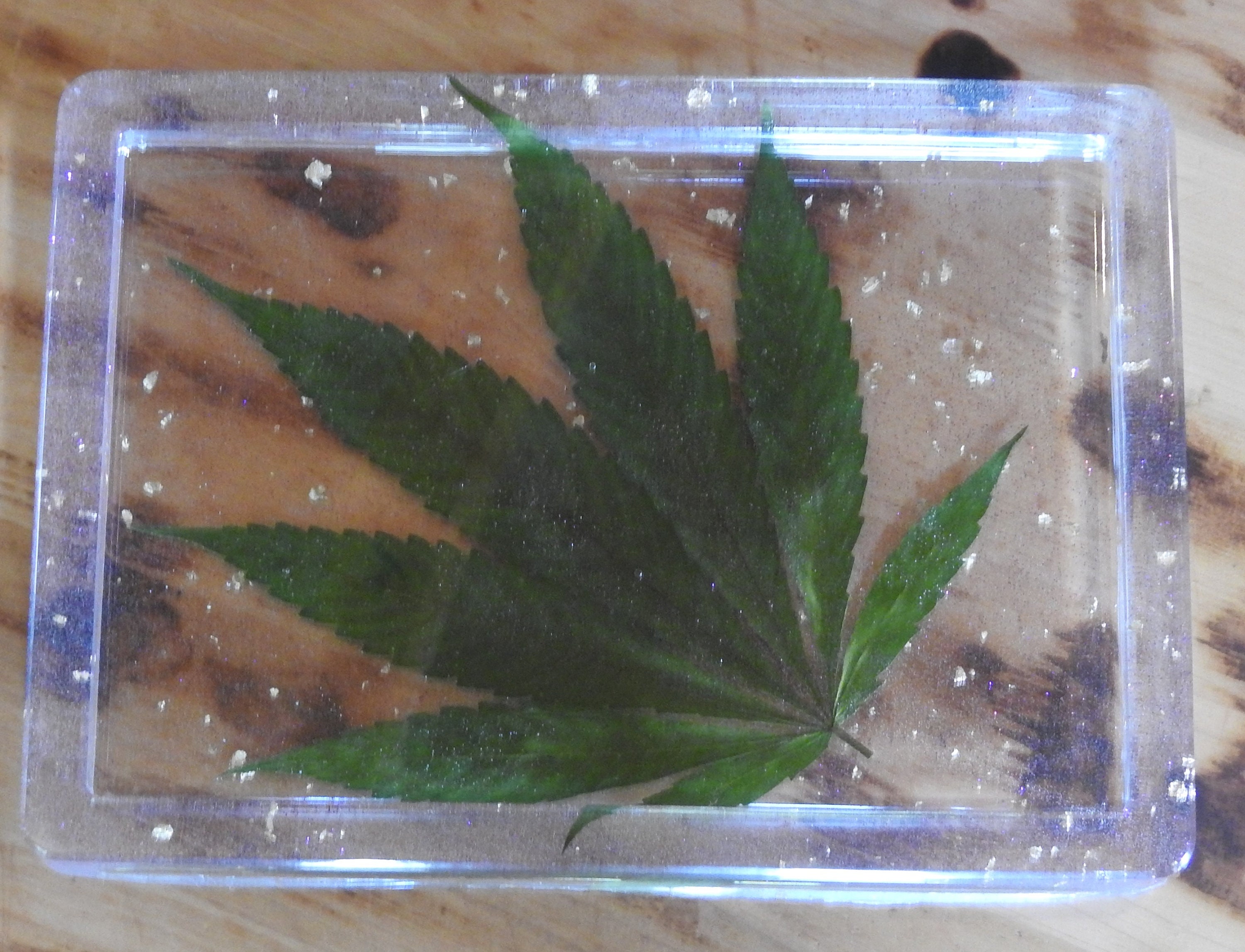 Rolling Tray epoxy resin Mariguana Etsy