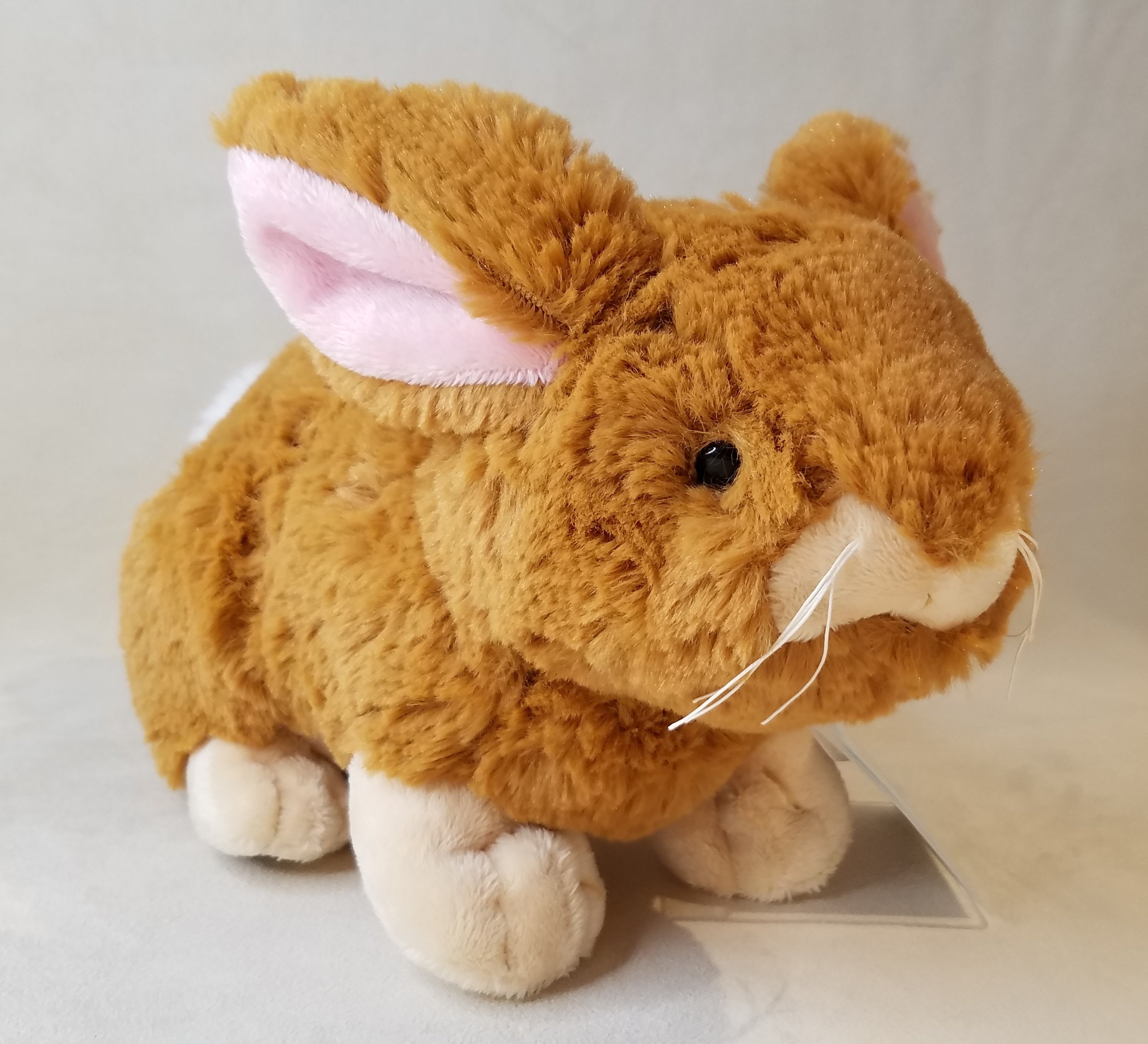 webkinz ginger bunny