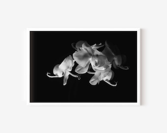 Moody Wall Art Photography Downloadable: Monochrome Orchid Print
