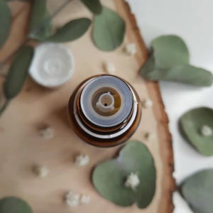 Undiluted Essential Oil Blends | 100% Pure Aromatherapy Grade | For Diffusers, Wool Balls, Cleaning, Flameless Fragrance | 15 ml / 0.5 oz
