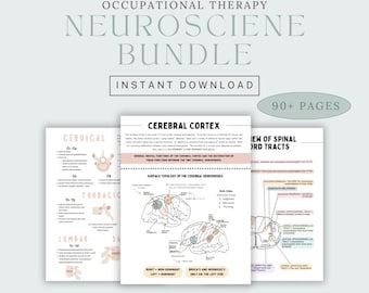 Pode incluir: Um pacote de neurociência imprimível para estudantes de terapia ocupacional. O pacote inclui diagramas do cérebro, da medula espinhal e dos tratos nervosos. O texto inclui as palavras "Córtex cerebral", "Visão dos tratos da medula espinhal", "Cervical", "Torácico", "Lumbar", "Sacral", "Direito + Não dominante", "Esquerdo + Dominante", "Broca e Wernicke", "Somente no lado esquerdo", e "The.OT.Brain".
