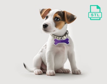 May include: A white and brown puppy with black spots sits on a white background. The puppy is wearing a white collar with black paw prints and a purple bone-shaped tag.