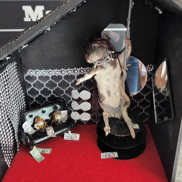 Strip club Rat : weird taxidermy oddities funny , bad taxidermy, stripper rat, stripper mouse, pole dancer, taxidermied rat