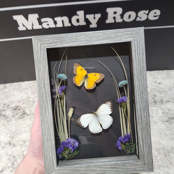Butterfly Shadow Box Etsy
