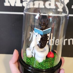 May include: A dark brown stag beetle specimen displayed inside a clear glass dome on a black base. The beetle sits on a white toilet model atop green moss, holding a small blue book titled War and Peace, with a white toilet paper roll and red plunger.