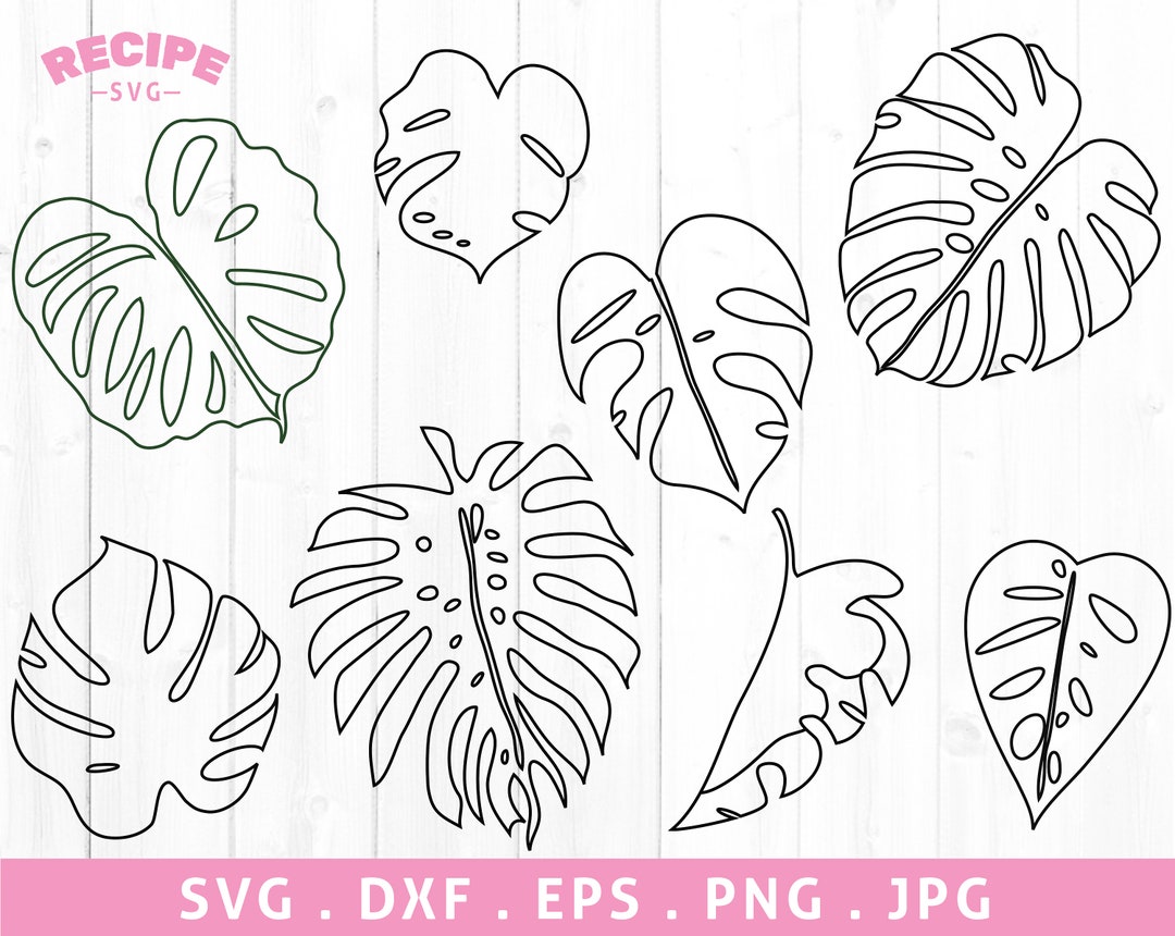 Monstera Leaf Outline Svg Monstera Outline Svg Tropical Etsy