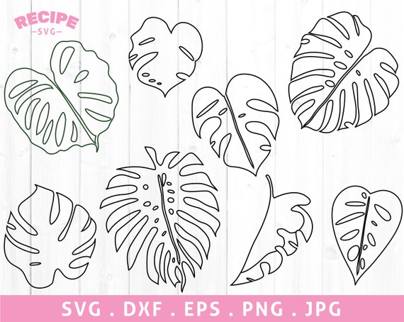 Monstera Leaf Outline Svg Monstera Outline Svg Tropical - Etsy Israel
