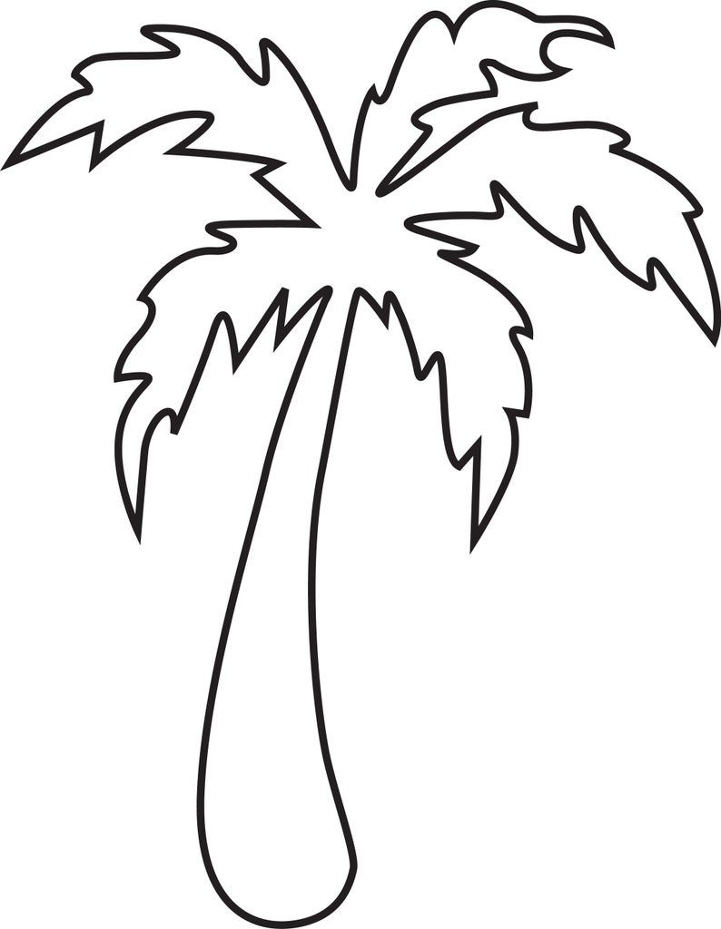 Palm Tree Svg Palm Outline Svg Beach Svgtropical Svg Plant - Etsy