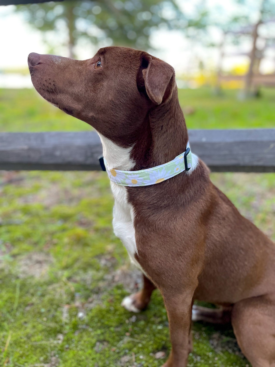 Handmade Sage Green Floral Dog Collar The Ellie Etsy