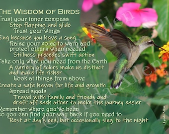 The Wisdom of the Birds 5x7