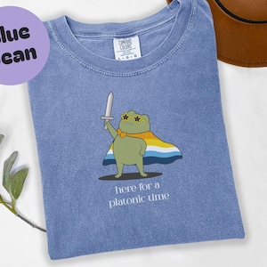 May include: Blue jean t-shirt featuring a cartoon frog with sunglasses and a cape, holding a sword. The text "here for a platonic time" is printed below the frog. A brown hat is visible in the background.