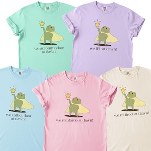 Bijpassende T-shirts in comfortkleuren voor teams in het speciaal onderwijs, grappige T-shirtset met kikkerprint voor gedragstherapeuten, voor de start van het schooljaar, eerste schooldag.