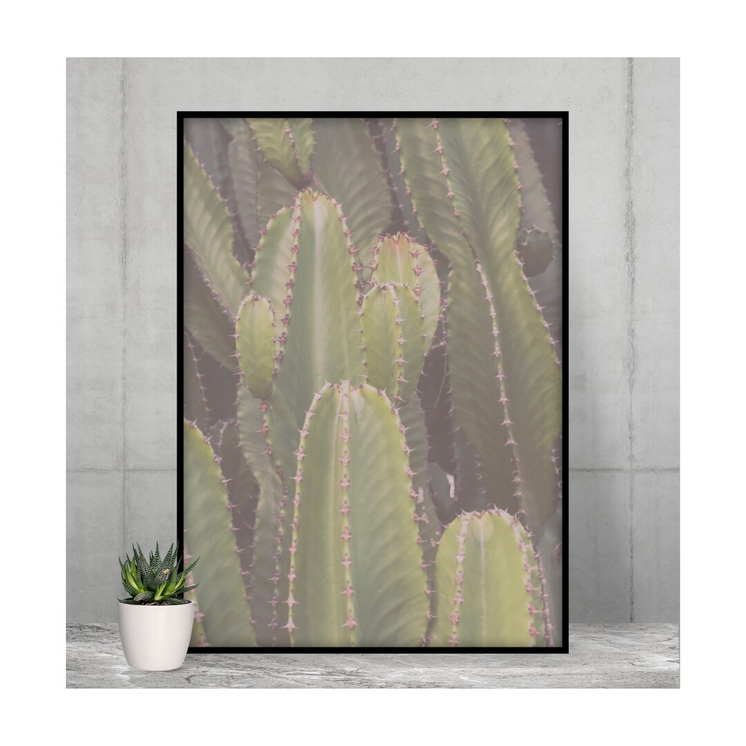 Cactus Print Wall Art Southwest Cactus Succulent Desert Photography
