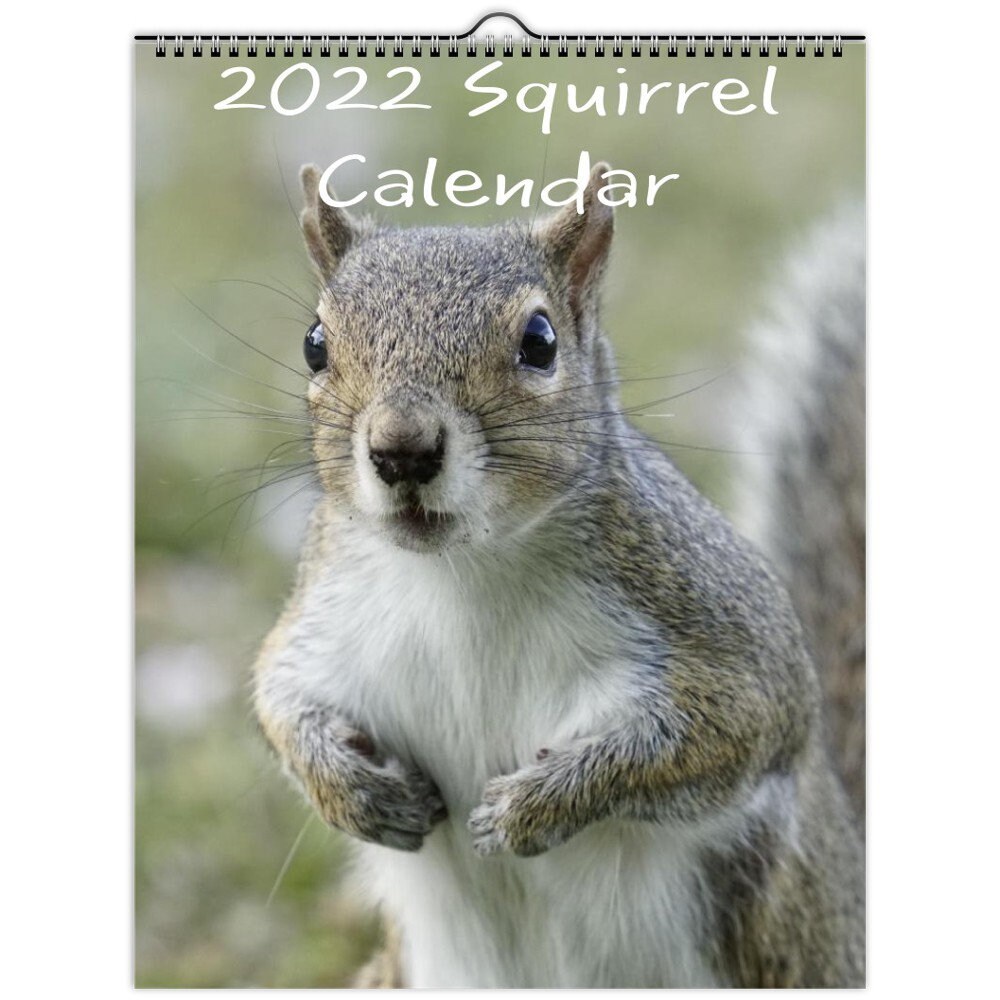 2022 Squirrel Calendar 2022 Wall Calendar 2022 Squirrel Wall Calendar 8 X 11 Inch | Etsy