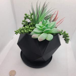 May include: A black geometric planter with a variety of green succulents and a small green beaded plant. The planter has a black saucer.