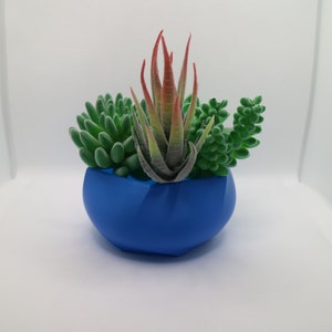 Può includere: Un vaso in ceramica blu con una varietà di piante grasse verdi e rosse. Il vaso ha una forma unica, leggermente irregolare.