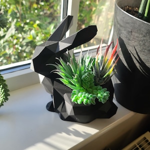 Puede incluir: Un macetero de conejo geométrico negro con una variedad de suculentas verdes en su interior. El macetero está sentado en un alféizar de ventana.