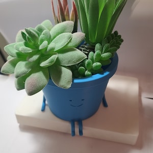 Peut inclure: Un pot bleu avec un visage souriant, contenant une variété de succulentes, dont une grande succulente verte, une petite succulente verte et une succulente rouge et verte.