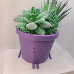 May include: A purple succulent planter with a smiling face and legs. The planter is filled with green succulents.