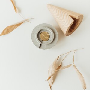 May include: A gray concrete ring with a gold coin inside, a light brown wooden cone, and dried beige leaves on a white background.