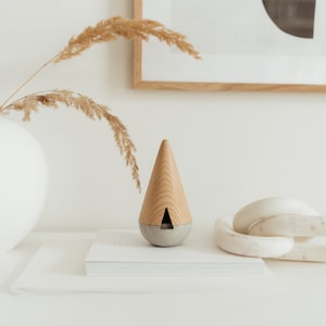 May include: A wooden and concrete diffuser with a triangular shape sits on a stack of white books. A white vase with dried pampas grass is in the background.
