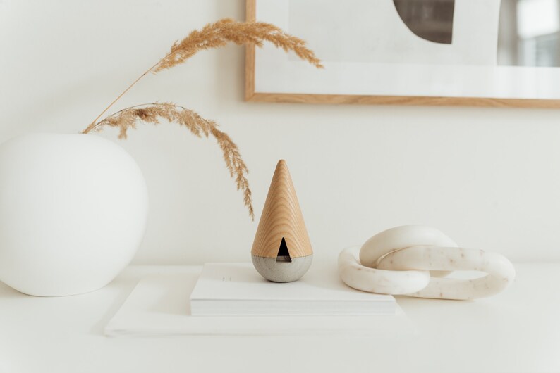 May include: A wooden and concrete diffuser with a triangular shape sits on a stack of white books. A white vase with dried pampas grass is in the background.