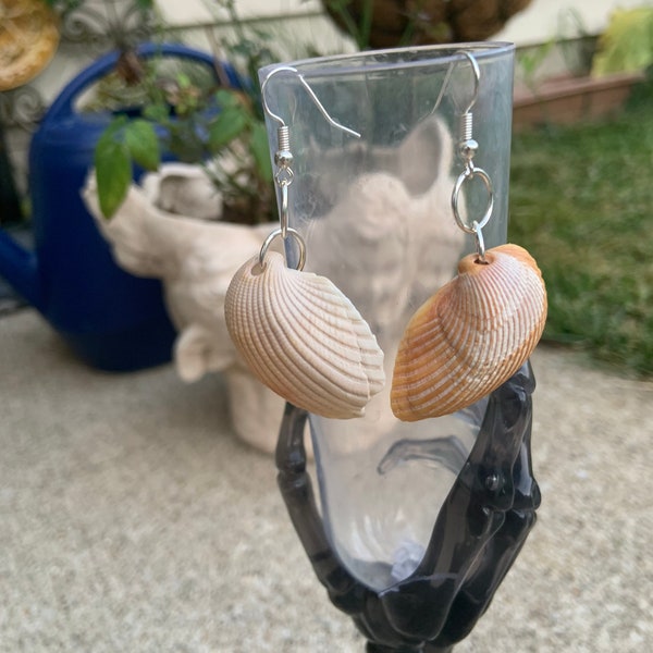 Myrtle Beach Real Natural Seashell Earrings