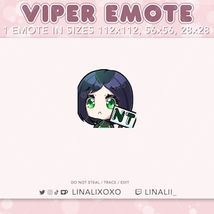 May include: A digital illustration of a cartoon character with green eyes and black hair holding a sign that says "NT". The character is wearing a green and black outfit. The image is for a digital emote.