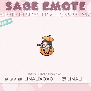 Animated Boo Halloween Pumpkin Valorant Sage Emote | Cute Chibi Twitch Streamer Discord Emotes