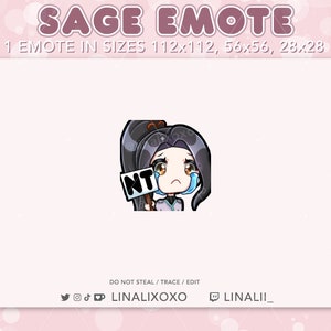 NT Nice Try Sad Valorant Sage Emote | Cute Chibi Twitch Streamer Discord Emotes
