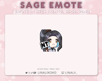 NT Nice Try Sad Valorant Sage Emote | Cute Chibi Twitch Streamer Discord Emotes