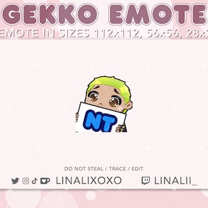 NT Nice Try Valorant Gekko Emote | Cute Chibi Twitch Streamer Discord Emotes