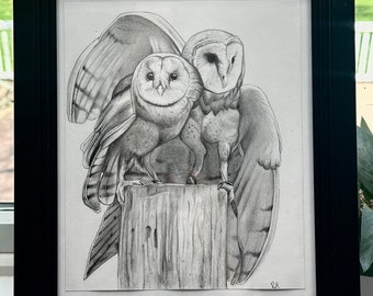 Barn Owl Traditional Drawing - Original Piece (1/1) - Frame included