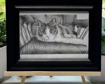 Cat Traditional Drawing - Original Piece (1/1) - Frame included