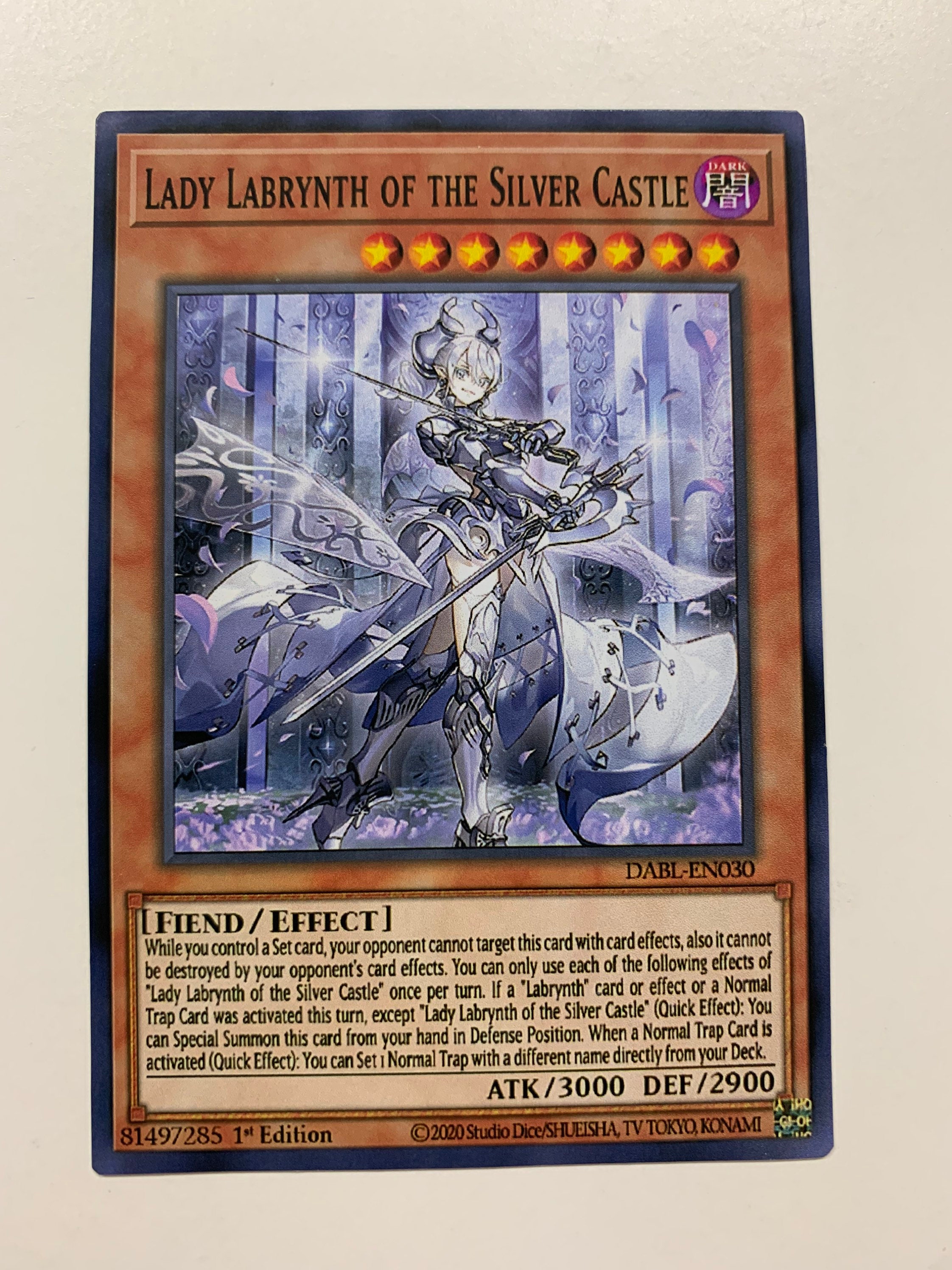 Labrynth of the silver castle