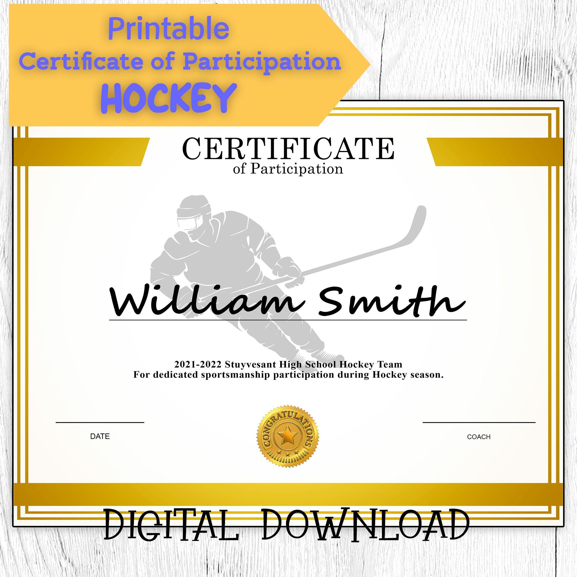 DIY Editable and Printable Sports Certificate Template Hockey Etsy Canada