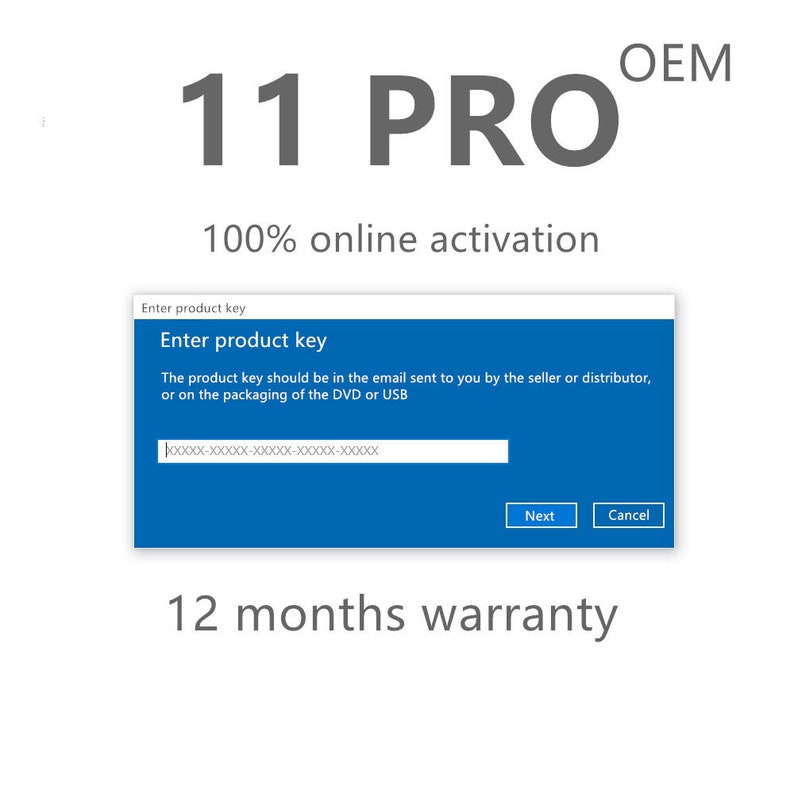 Activation en ligne d'une véritable clé de licence OEM Win11 Pro Code d'activation à vie de Windows 11 Professionnel Accès partout Performances à vie image 2