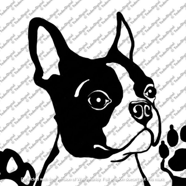 Boston Terrier Svg File - Boston Terrier Clipart - Dog Svg - Dog Cut File - Boston Terrier Vector Graphics  - Svg For Cricut -For Silhouette