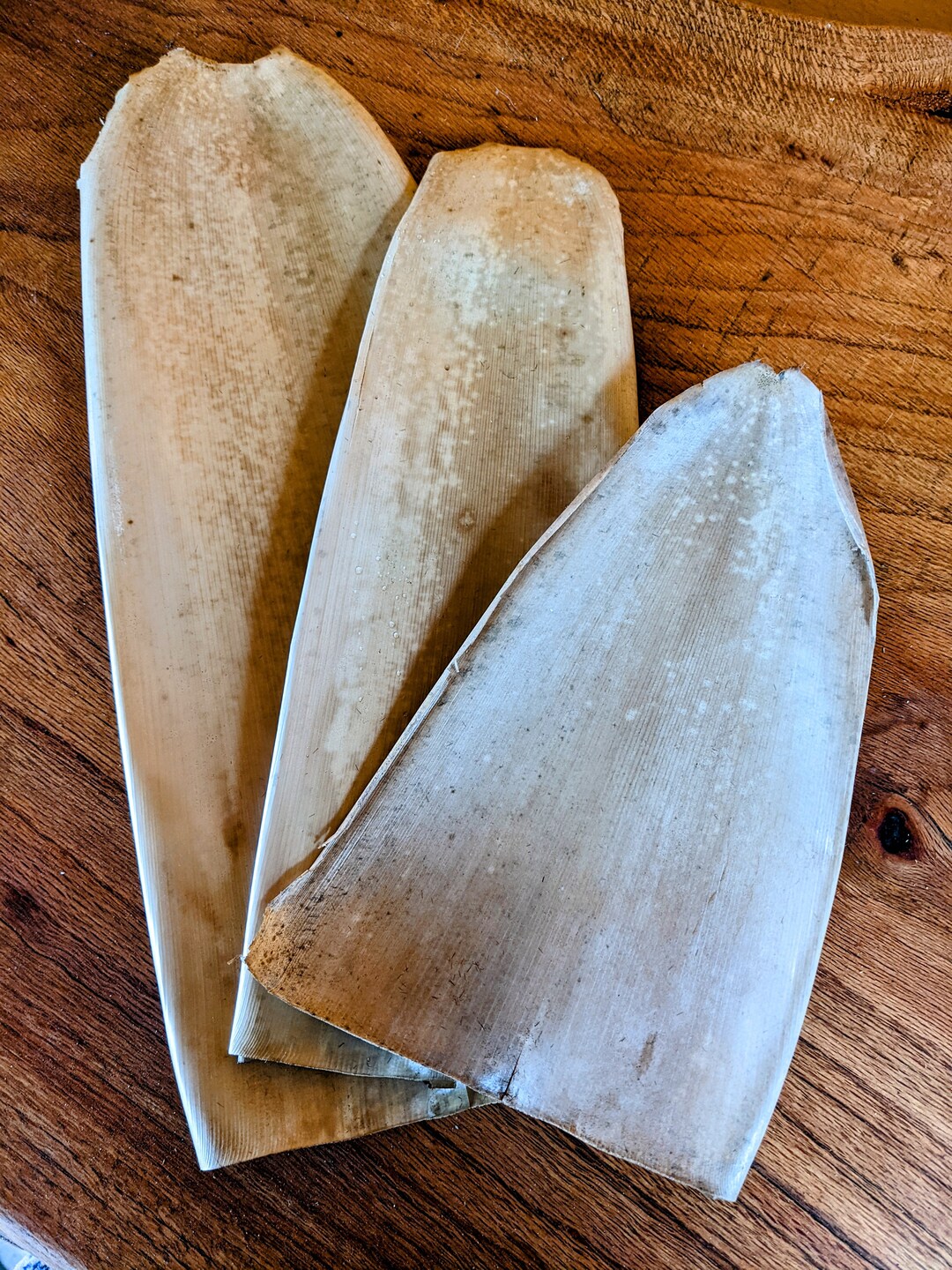 Bamboo Culm Sheath Etsy