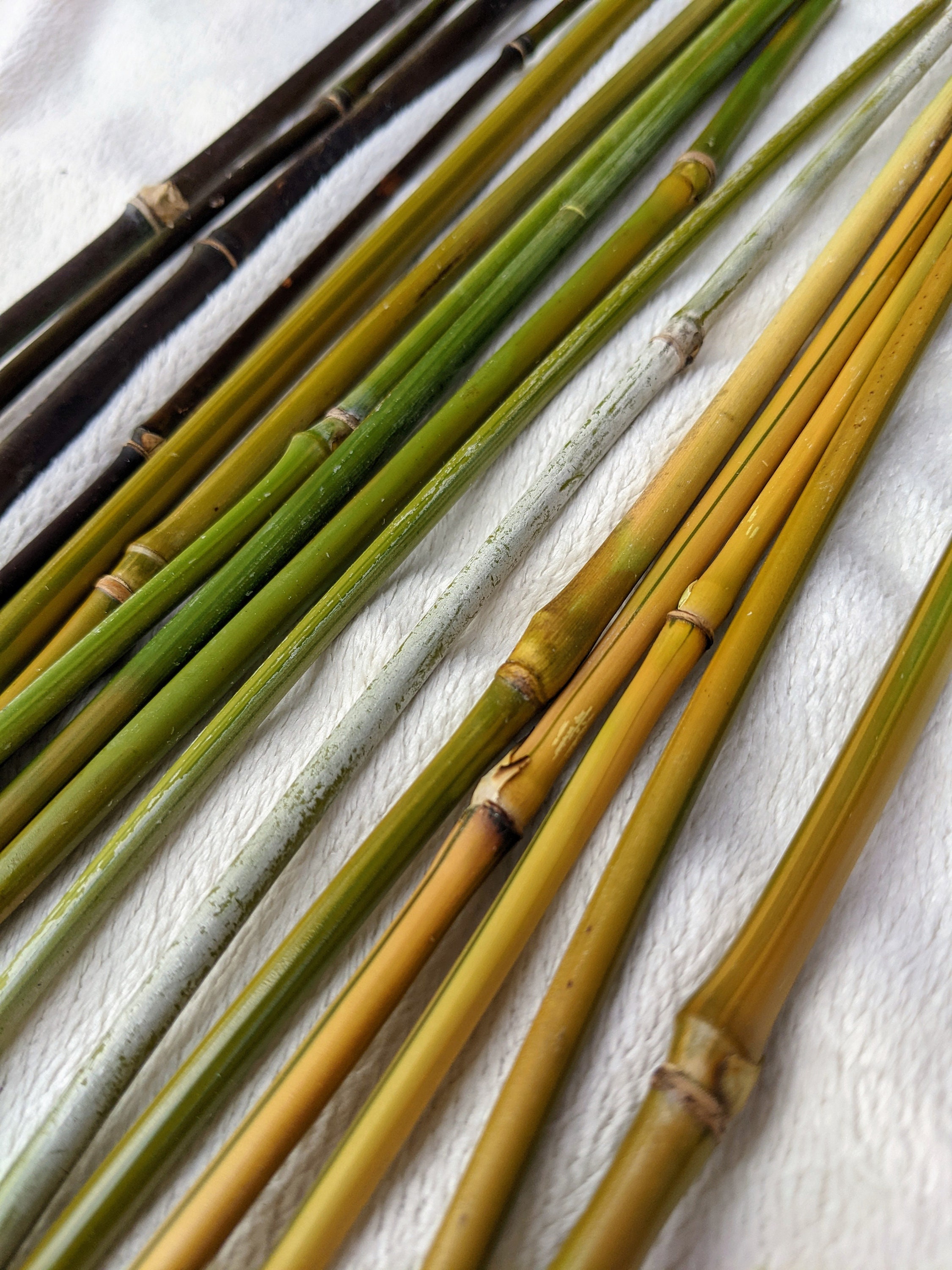 Flat Natural Bamboo Sticks, 50pcs, MULTIPLE Size, 11.81 Inch Long