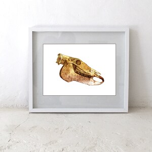 Horse Skull  - Digital Printable Wall Art