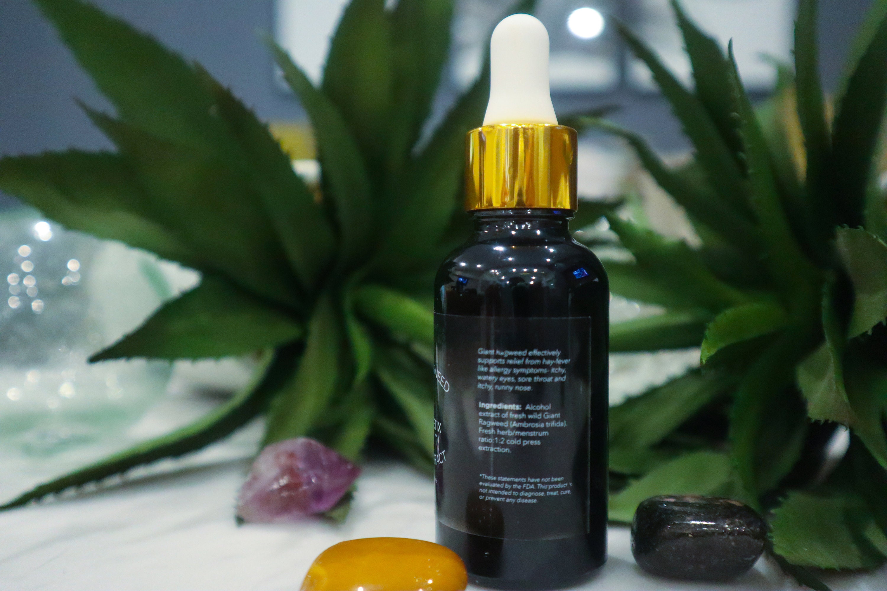 Giant Ragweed Liquid Extractseasonal Allergy Tonic Etsy UK