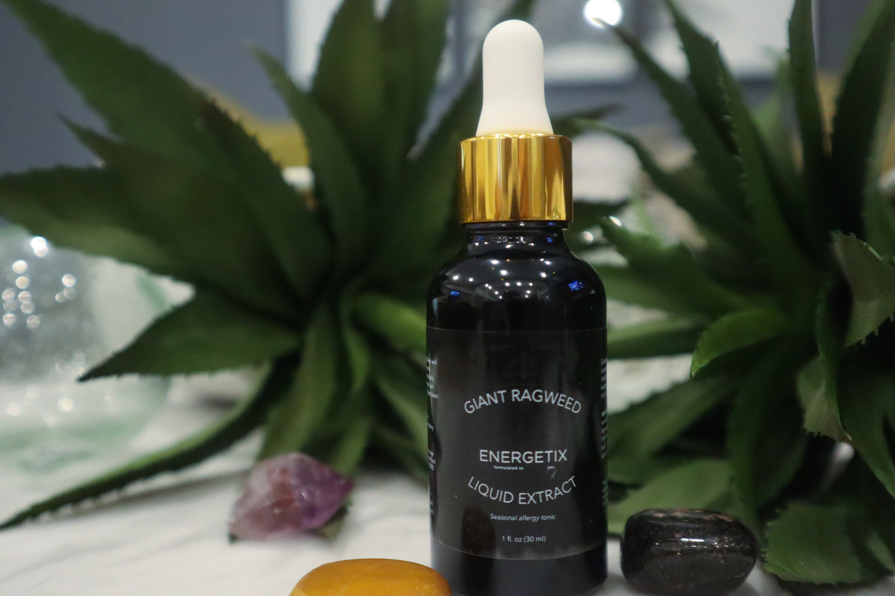 Giant Ragweed Liquid Extractseasonal Allergy Tonic Etsy UK