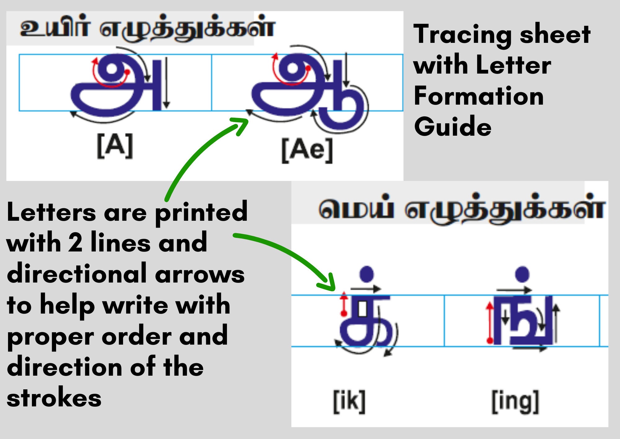 tamil alphabets worksheets for kids tamil vowels and etsy
