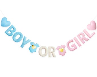 Pink Blue Gender Reveal Decorations Handmade Felt Boy or Girl Sign Baby Clothes Heart Banner for He or She Welcome Baby Shower Party