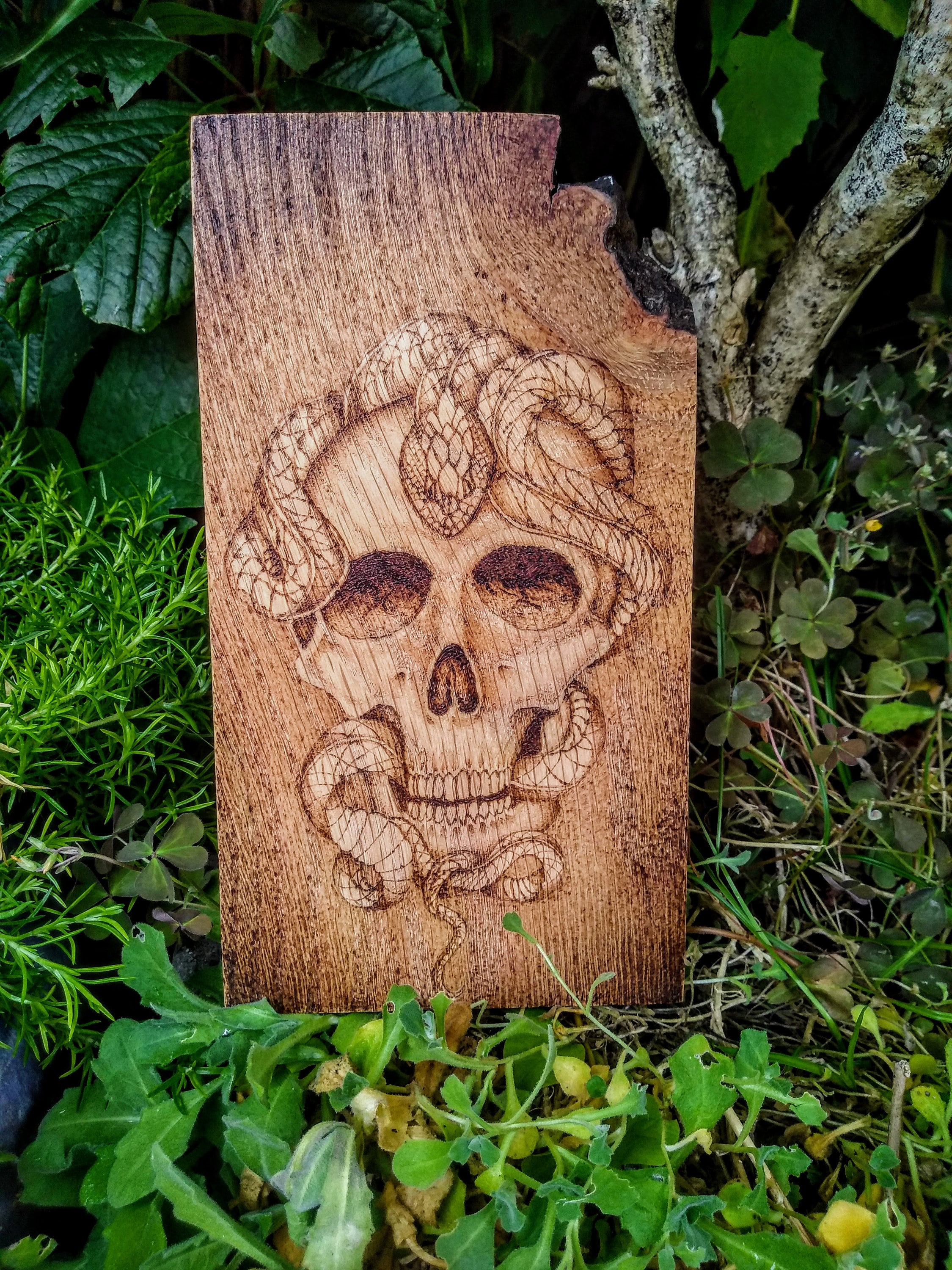 Snake and Skull Pyrography, Wood Burning Etsy UK