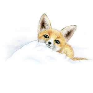 Fox hoodie for age 6-15 / Kids hoodie with fox drawing / Fox sweatshirt image 9