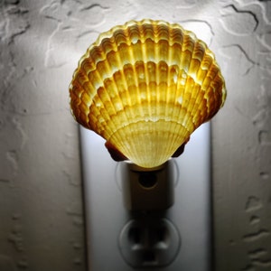 Shell Nightlight, Beach Nightlight, Coastal Decor Nightlight, Dusk to Dawn Shell Nightlight, Mexican Deep Scallop Shell Nightlight
